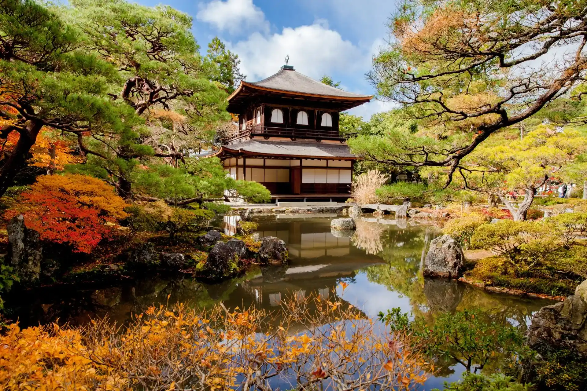 Trusted Travel Agents in Honolulu for Global Adventures