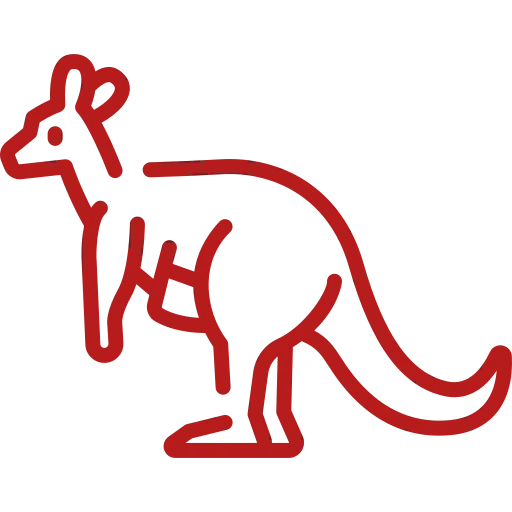 kangaroo