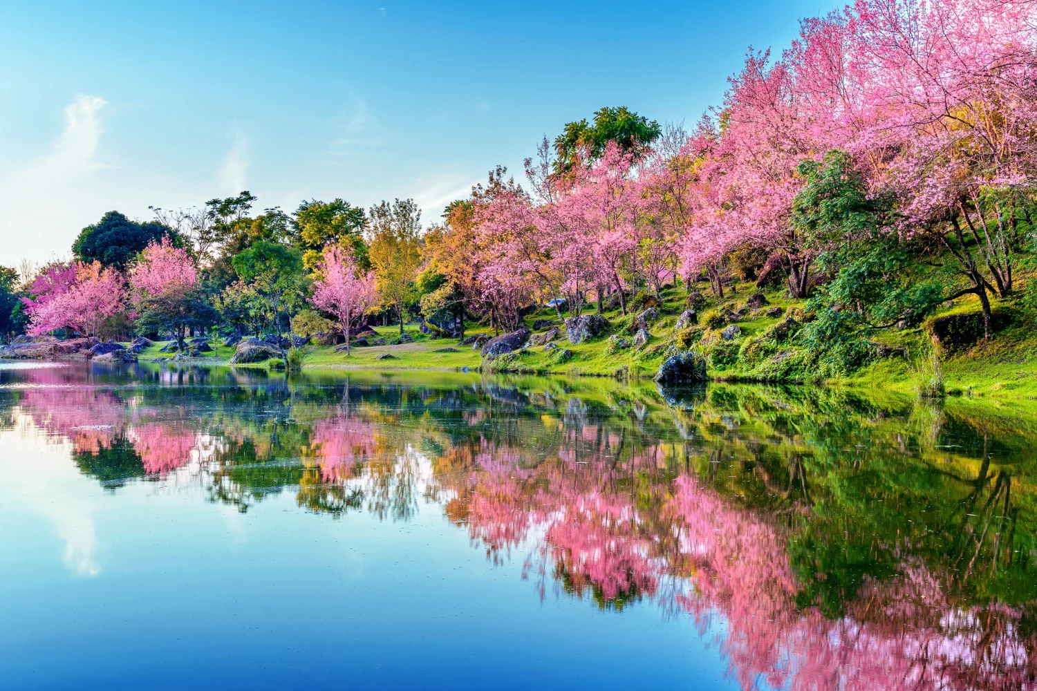 Spring-in-New-Zealand